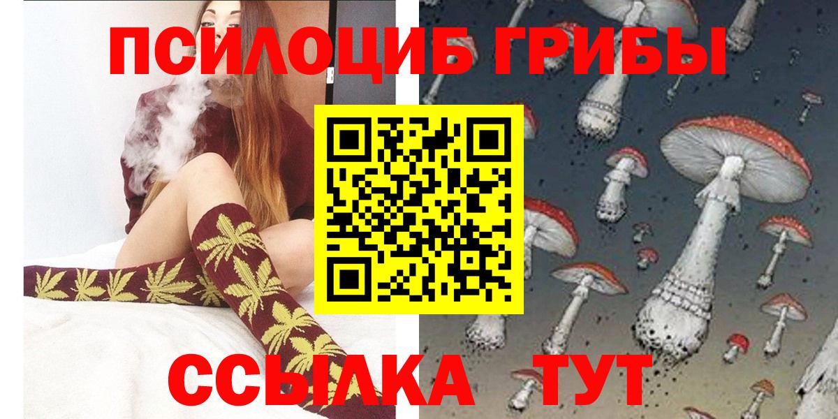 Псилоцибиновые грибы Psilocybine cubensis Гай