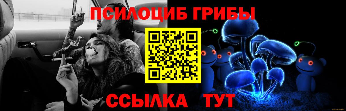 Галлюциногенные грибы мухоморы  цена   Вход с VPN  Гай  Псилоцибиновые грибы мицелий 