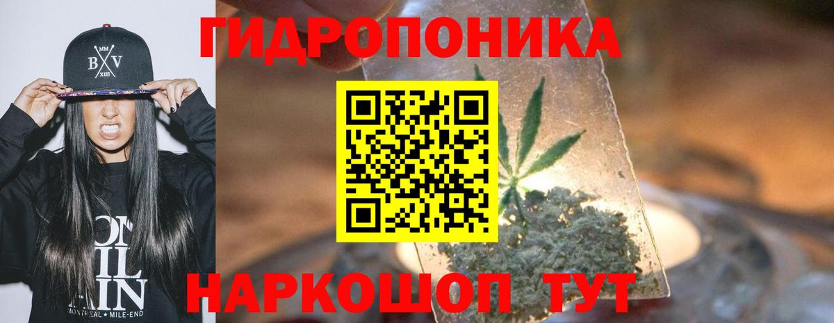 Бошки марихуана OG Kush  Шишки марихуана тримм  Вход с VPN  Гай  Канабис марихуана  Марихуана гибрид 